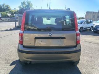 FIAT Panda usata 7