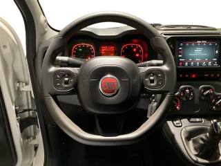 FIAT Panda usata 15