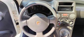 FIAT Panda usata, con Cronologia tagliandi