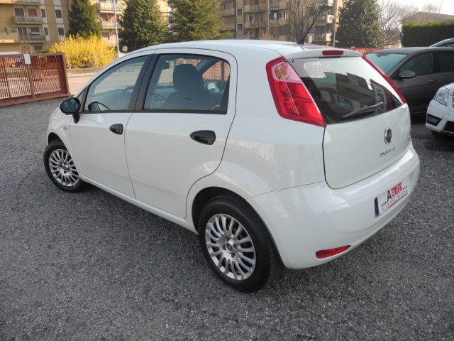 FIAT Punto usata 66