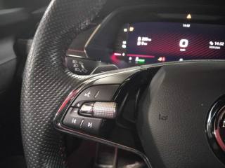 SKODA Octavia usata 29