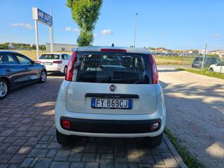 FIAT Panda usata, con Alzacristalli elettrici