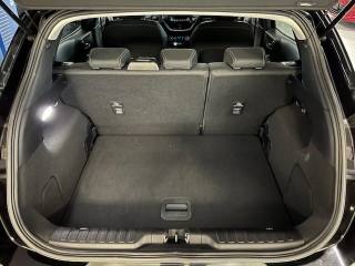 FORD Puma usata, con Fendinebbia