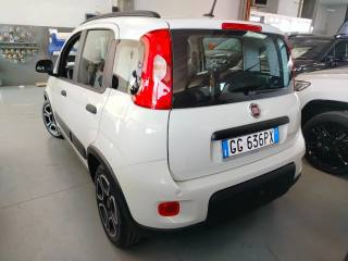 FIAT Panda usata, con Airbag testa