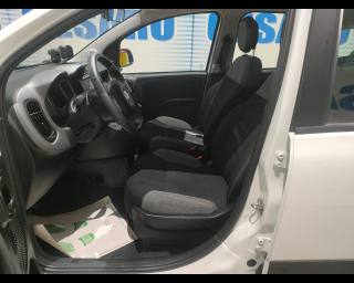 FIAT New Panda usata 17