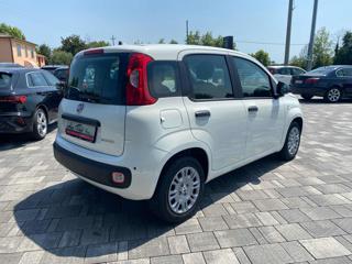 FIAT Panda usata, con Autoradio