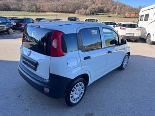 FIAT Panda usata, con Controllo trazione