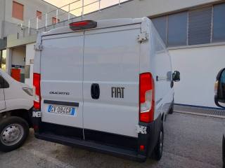 FIAT Ducato usata, con Immobilizzatore elettronico