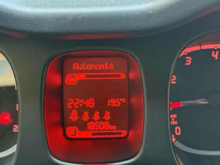 FIAT Panda Cross usata, con Controllo trazione