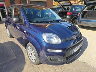 FIAT Panda 1.0 FireFly S&S Hybrid Eas 5 posti no obbligo fina