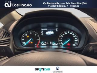 FORD EcoSport usata, con Immobilizzatore elettronico