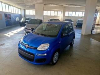 FIAT Panda usata, con Airbag