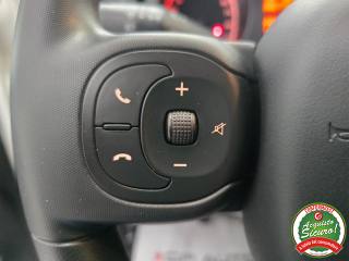 FIAT Panda usata 13