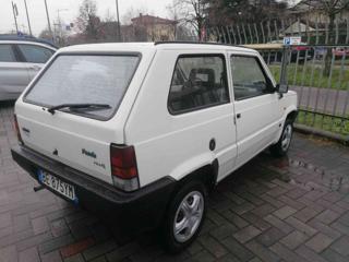 FIAT Panda usata 2