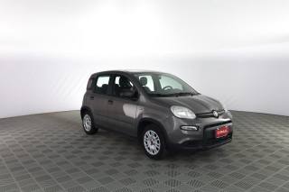 FIAT Panda usata 1