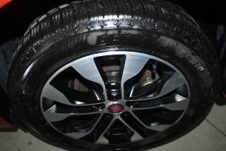 FIAT Tipo usata, con Fendinebbia