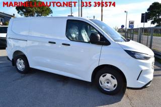 FORD Transit Custom usata 23