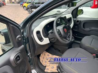 FIAT Pandina Cross usata, con Servosterzo