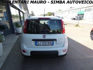 FIAT Panda usata, con Airbag Passeggero
