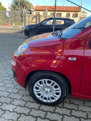 FIAT Panda usata, con ESP