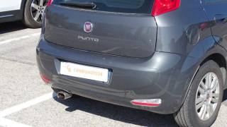 FIAT Punto usata 35