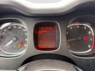 FIAT Panda usata 13
