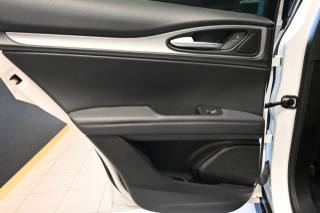 ALFA ROMEO Stelvio usata 59