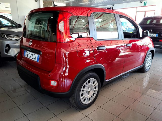 FIAT Panda usata 16