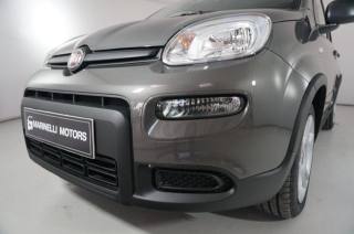 FIAT Panda usata 19