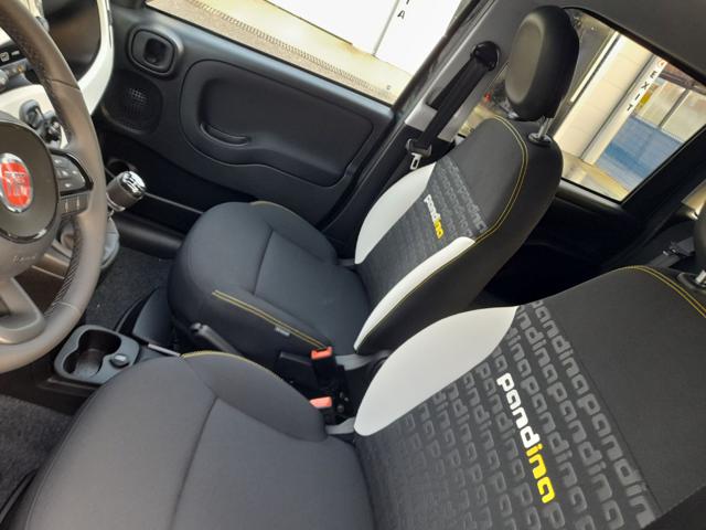 FIAT Pandina usata, con Fendinebbia