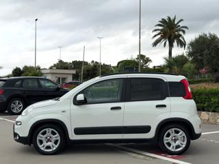 FIAT Panda usata, con Alzacristalli elettrici
