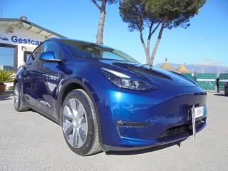 TESLA Model Y usata 22