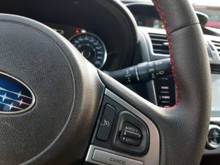 SUBARU XV usata, con Cruise Control