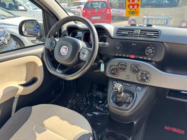 FIAT Panda usata 5