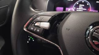 SKODA Karoq usata, con Adaptive Cruise Control