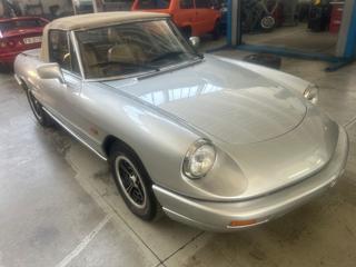 ALFA ROMEO Spider usata, con Cerchi in lega