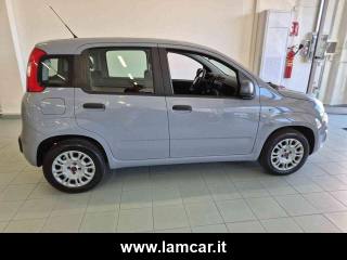 FIAT Panda usata 11