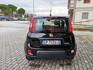FIAT Panda usata, con Chiusura centralizzata