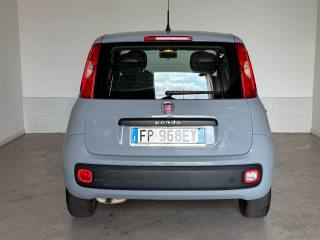 FIAT Panda usata 4