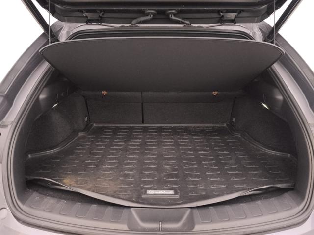 LEXUS UX 250h usata, con Bluetooth