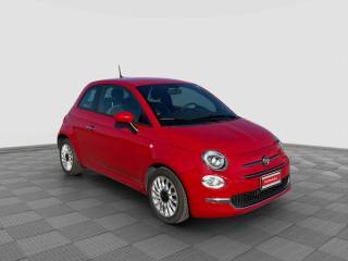 FIAT 500 usata 6