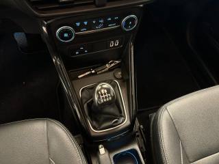 FORD EcoSport usata, con Volante in pelle