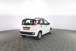FIAT Panda usata 3
