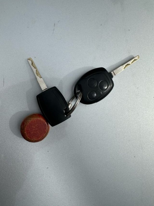 FORD Fiesta usata 14