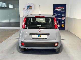FIAT Panda usata, con Alzacristalli elettrici