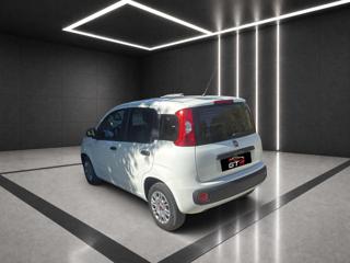 FIAT Panda usata, con Immobilizzatore elettronico
