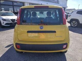 FIAT Panda usata, con Climatizzatore