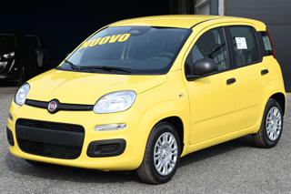 FIAT Panda usata, con Volante multifunzione