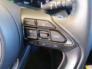 TOYOTA Yaris Cross usata, con Specchietti laterali elettrici
