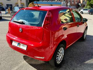 FIAT Punto usata, con Chiusura centralizzata